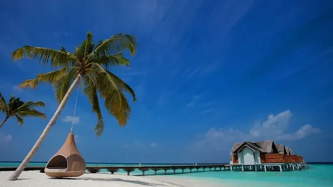 Furaveri Maldives